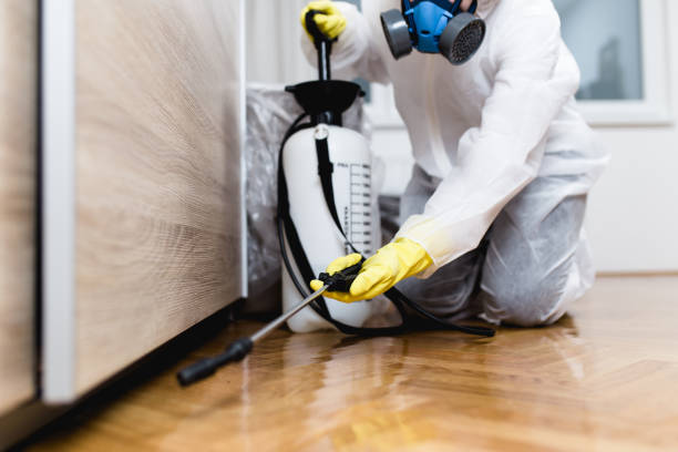 Professional Pest Control in Harwich Port, MA